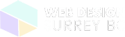 web-design-surrey-new-logo